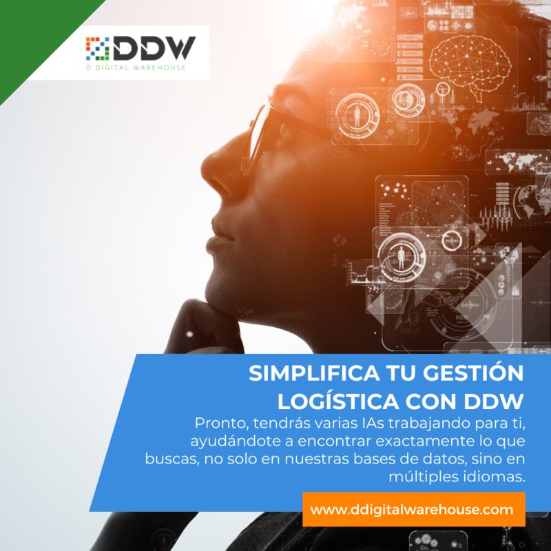 Simplifica tu gestión logística con DDW